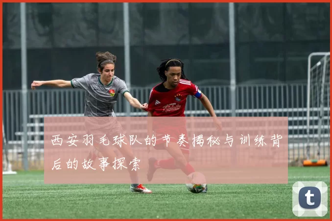 西安羽毛球队的节奏揭秘与训练背后的故事探索