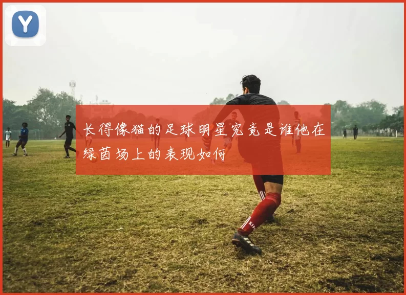 长得像猫的足球明星究竟是谁他在绿茵场上的表现如何