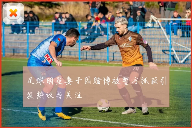足球明星妻子因赌博被警方抓获引发热议与关注