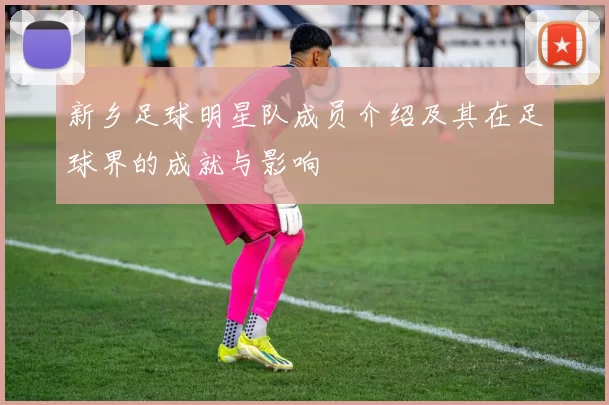 新乡足球明星队成员介绍及其在足球界的成就与影响