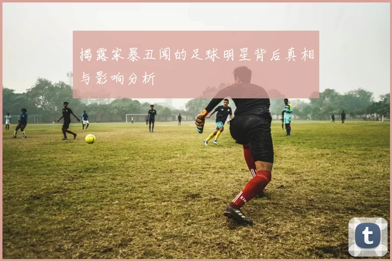 揭露家暴丑闻的足球明星背后真相与影响分析