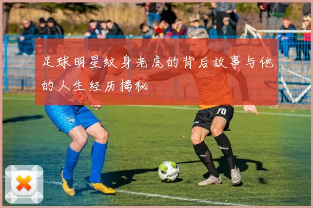 足球明星纹身老虎的背后故事与他的人生经历揭秘