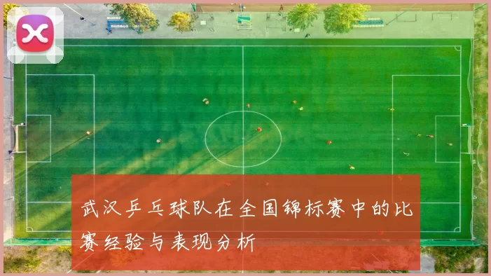 武汉乒乓球队在全国锦标赛中的比赛经验与表现分析