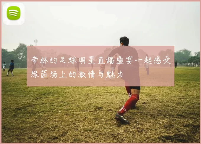 带林的足球明星直播盛宴一起感受绿茵场上的激情与魅力