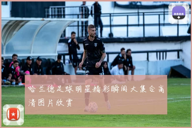 哈兰德足球明星精彩瞬间大集合高清图片欣赏