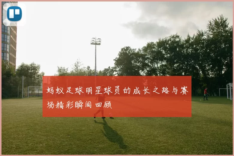 蚂蚁足球明星球员的成长之路与赛场精彩瞬间回顾