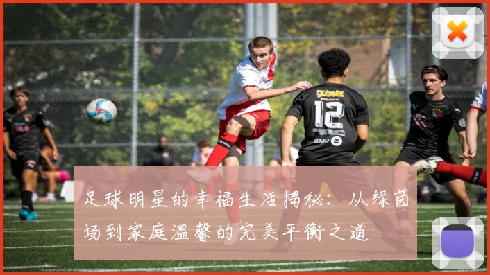 足球明星的幸福生活揭秘：从绿茵场到家庭温馨的完美平衡之道