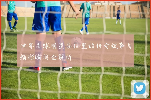 世界足球明星各位置的传奇故事与精彩瞬间全解析