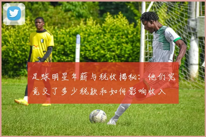 足球明星年薪与税收揭秘：他们究竟交了多少税款和如何影响收入