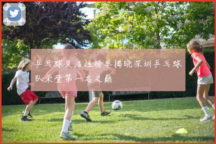 乒乓球灵活性榜单揭晓深圳乒乓球队荣登第一名之巅
