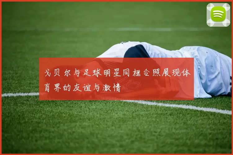 戈贝尔与足球明星同框合照展现体育界的友谊与激情