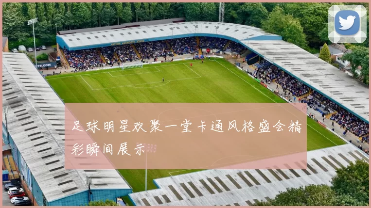 足球明星欢聚一堂卡通风格盛会精彩瞬间展示