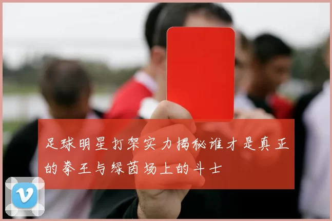 足球明星打架实力揭秘谁才是真正的拳王与绿茵场上的斗士