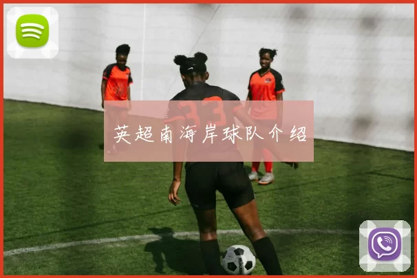 英超南海岸球队介绍