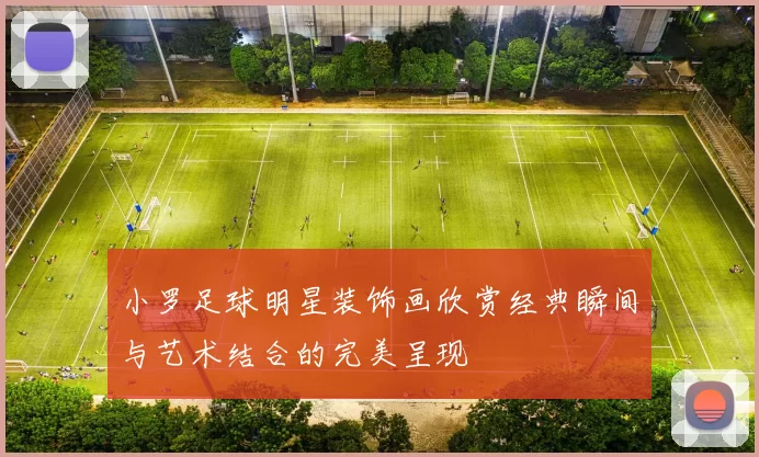 小罗足球明星装饰画欣赏经典瞬间与艺术结合的完美呈现