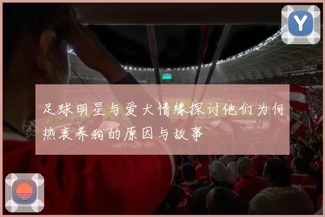 足球明星与爱犬情缘探讨他们为何热衷养狗的原因与故事