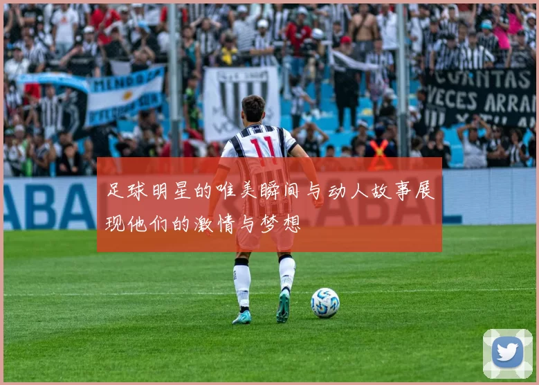 足球明星的唯美瞬间与动人故事展现他们的激情与梦想