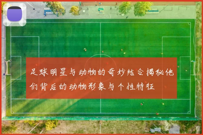 足球明星与动物的奇妙结合揭秘他们背后的动物形象与个性特征