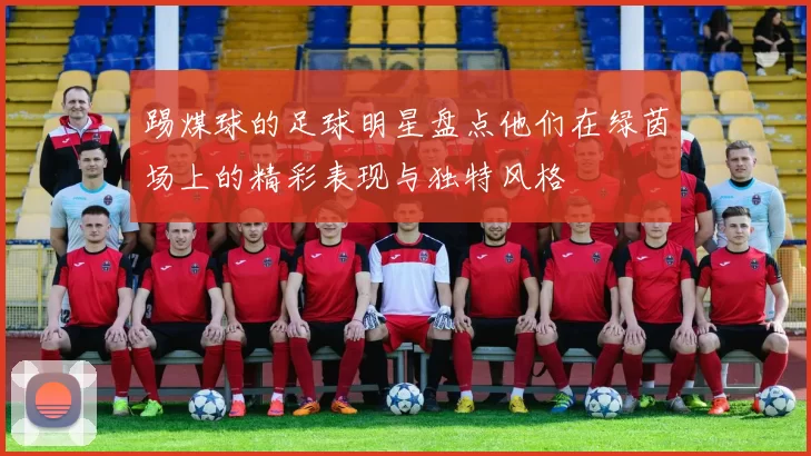踢煤球的足球明星盘点他们在绿茵场上的精彩表现与独特风格